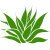 agave_icon